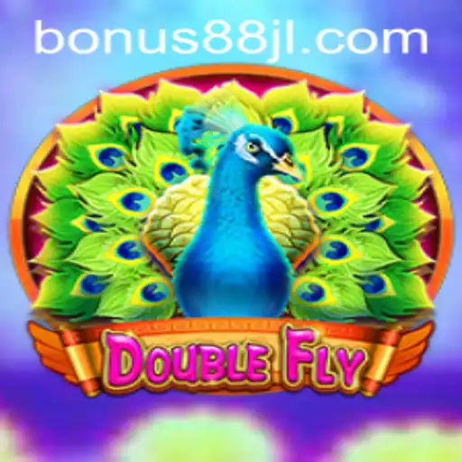 DoubleFly Game Review